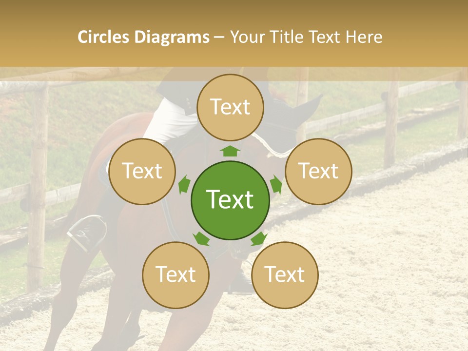 Bridle Gallop Adorable PowerPoint Template