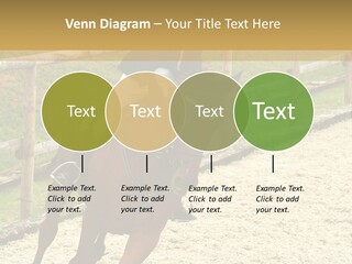 Bridle Gallop Adorable PowerPoint Template