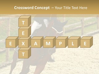 Bridle Gallop Adorable PowerPoint Template