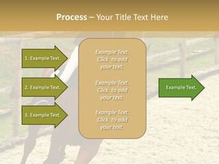 Bridle Gallop Adorable PowerPoint Template