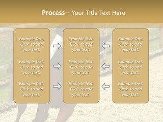 Bridle Gallop Adorable PowerPoint Template