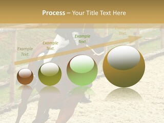 Bridle Gallop Adorable PowerPoint Template