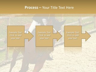 Bridle Gallop Adorable PowerPoint Template