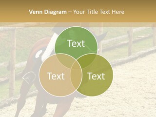 Bridle Gallop Adorable PowerPoint Template