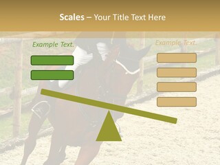 Bridle Gallop Adorable PowerPoint Template