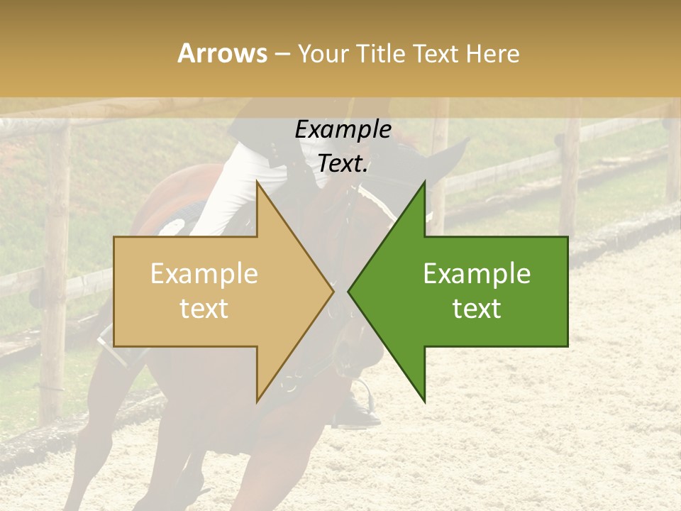 Bridle Gallop Adorable PowerPoint Template