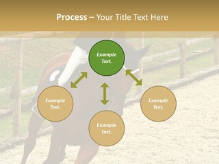 Bridle Gallop Adorable PowerPoint Template
