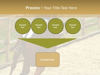 Bridle Gallop Adorable PowerPoint Template