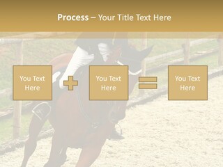 Bridle Gallop Adorable PowerPoint Template
