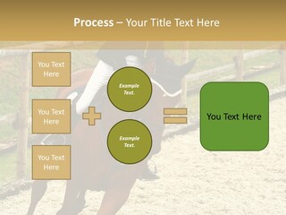 Bridle Gallop Adorable PowerPoint Template