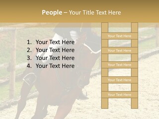 Bridle Gallop Adorable PowerPoint Template