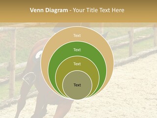 Bridle Gallop Adorable PowerPoint Template