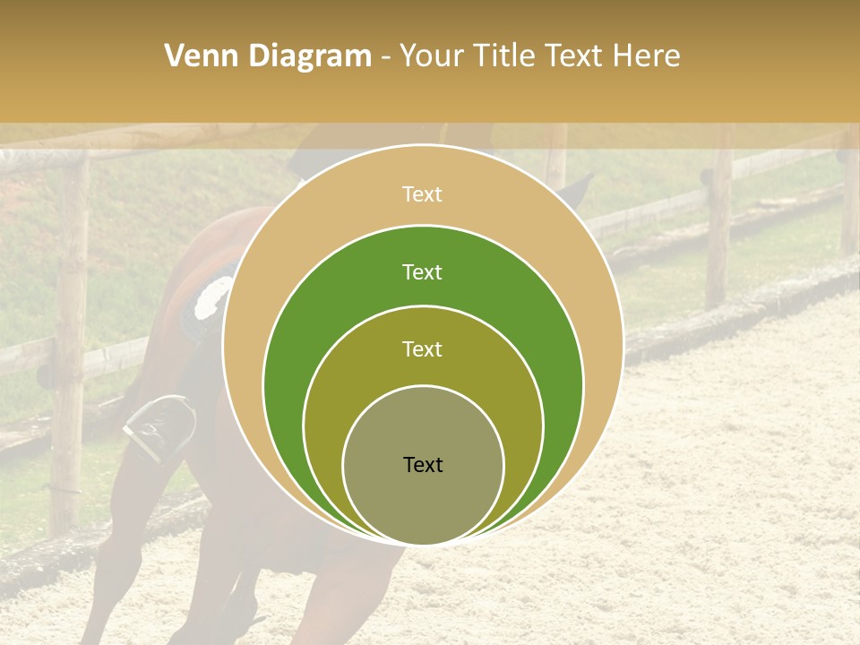 Bridle Gallop Adorable PowerPoint Template