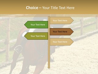 Bridle Gallop Adorable PowerPoint Template
