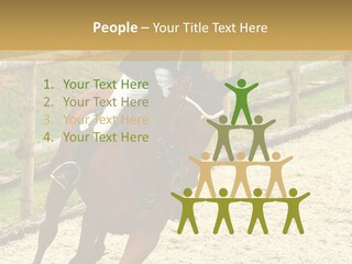 Bridle Gallop Adorable PowerPoint Template