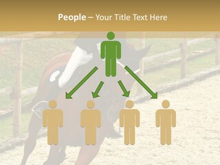 Bridle Gallop Adorable PowerPoint Template