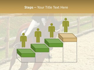 Bridle Gallop Adorable PowerPoint Template