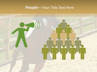 Bridle Gallop Adorable PowerPoint Template