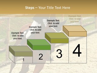 Bridle Gallop Adorable PowerPoint Template