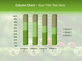 Insect Closeup Spring PowerPoint Template