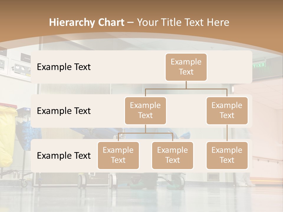 Hygiene Patient Health Care PowerPoint Template