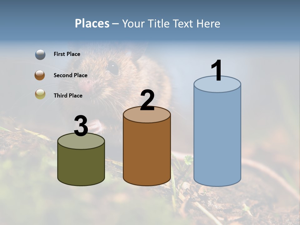 Fauna Closeup Animal PowerPoint Template