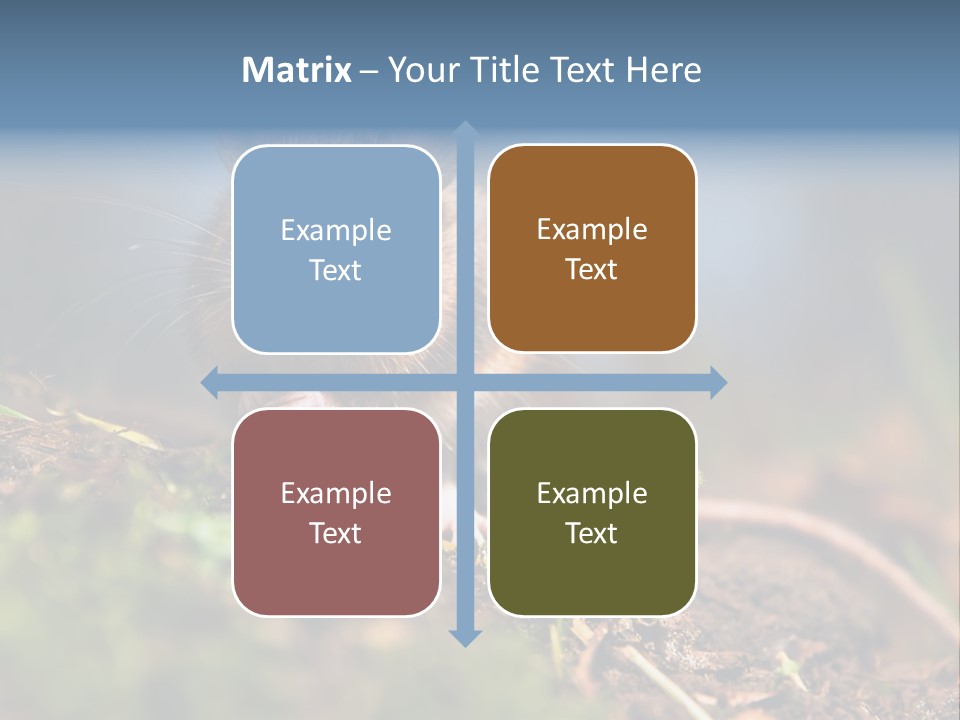 Fauna Closeup Animal PowerPoint Template