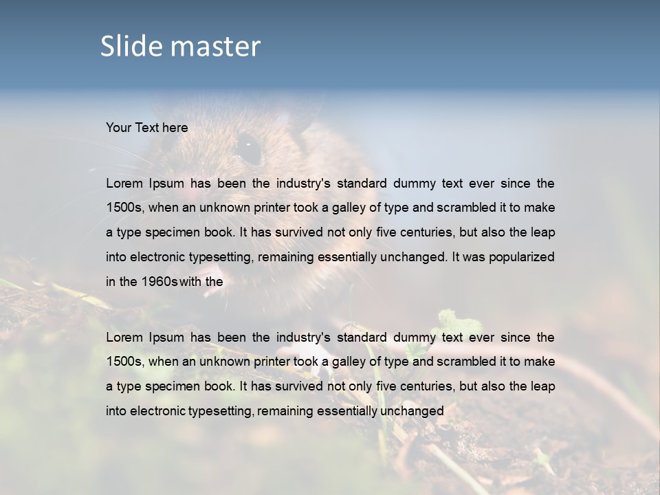 Fauna Closeup Animal PowerPoint Template