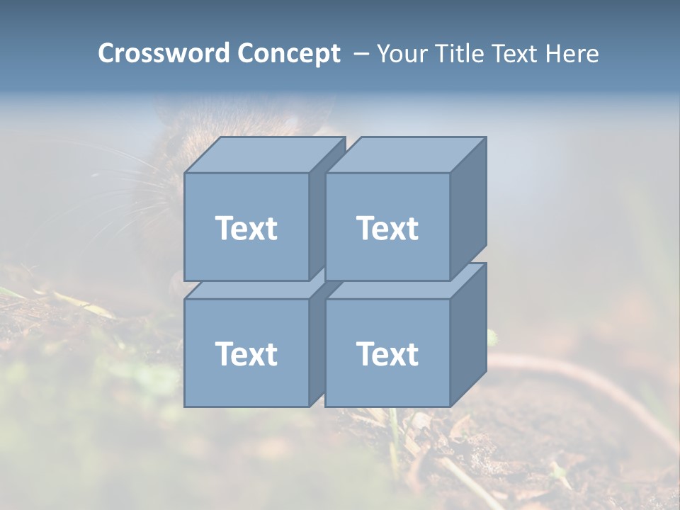 Fauna Closeup Animal PowerPoint Template