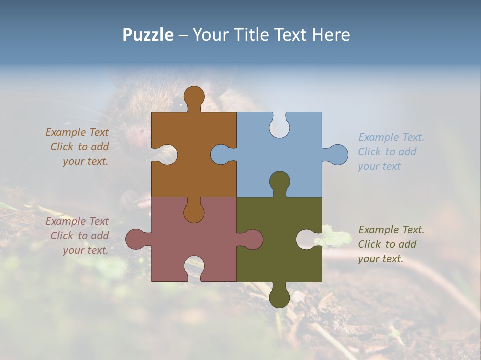 Fauna Closeup Animal PowerPoint Template