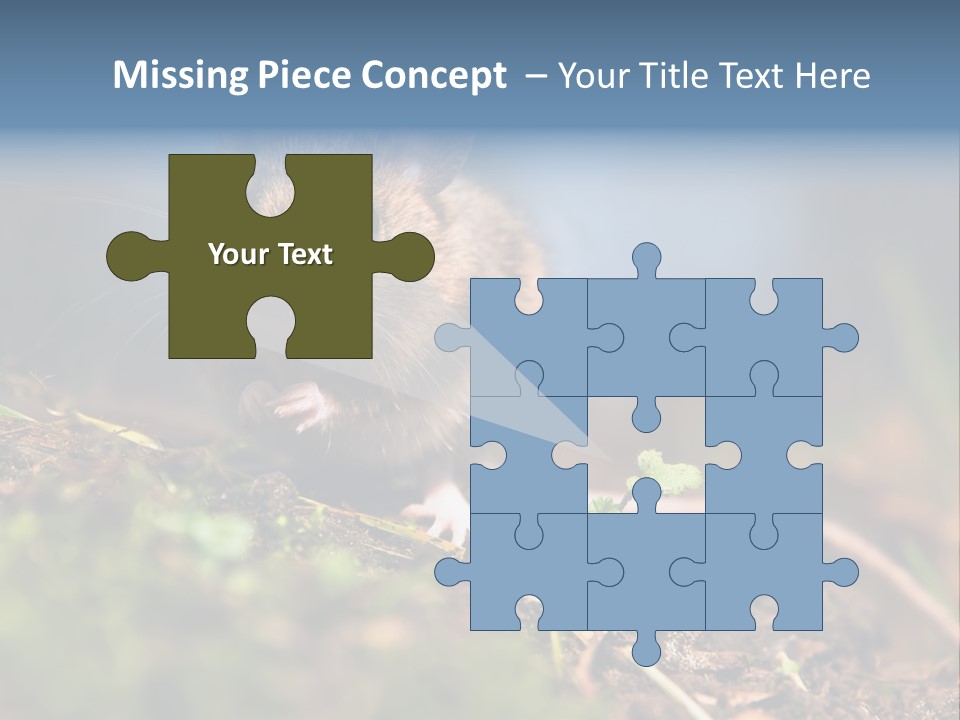 Fauna Closeup Animal PowerPoint Template