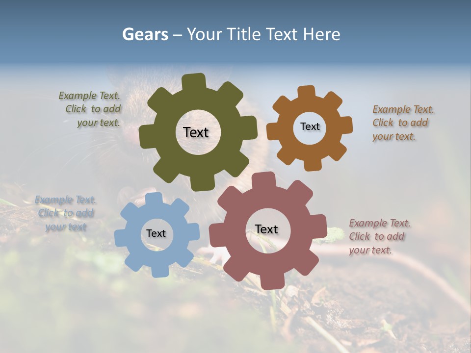 Fauna Closeup Animal PowerPoint Template