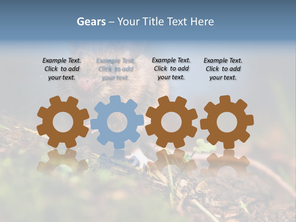 Fauna Closeup Animal PowerPoint Template