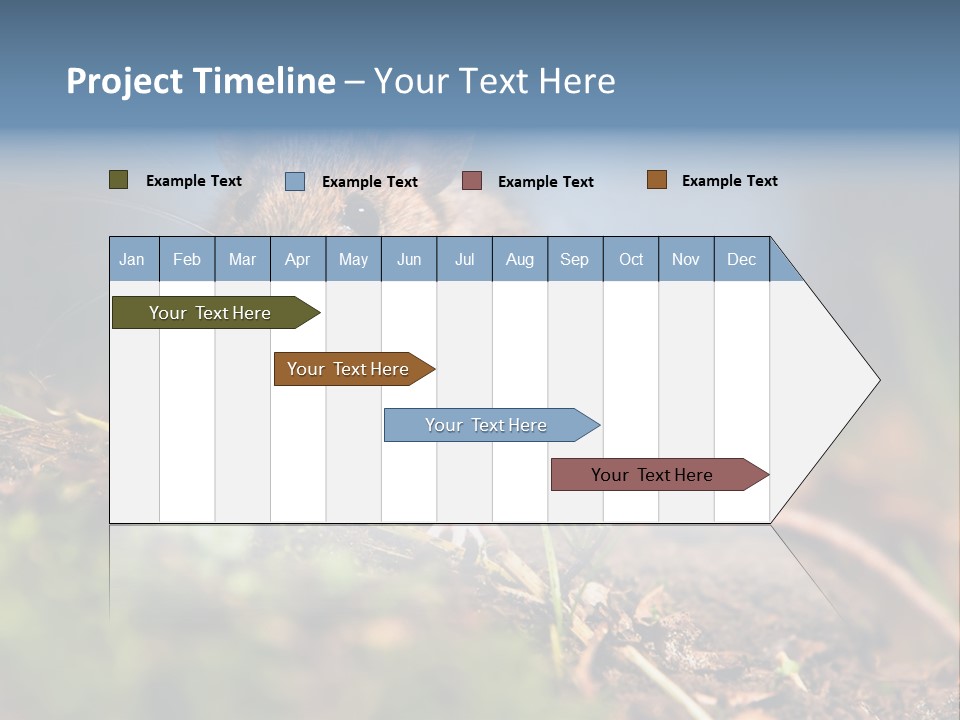 Fauna Closeup Animal PowerPoint Template