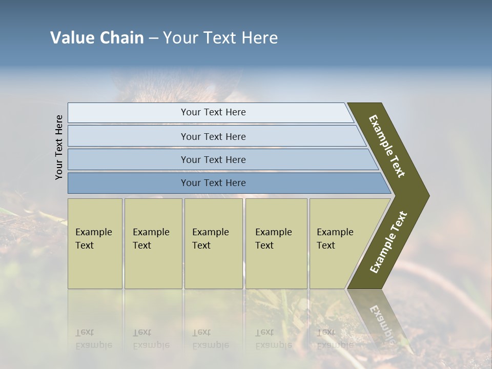 Fauna Closeup Animal PowerPoint Template