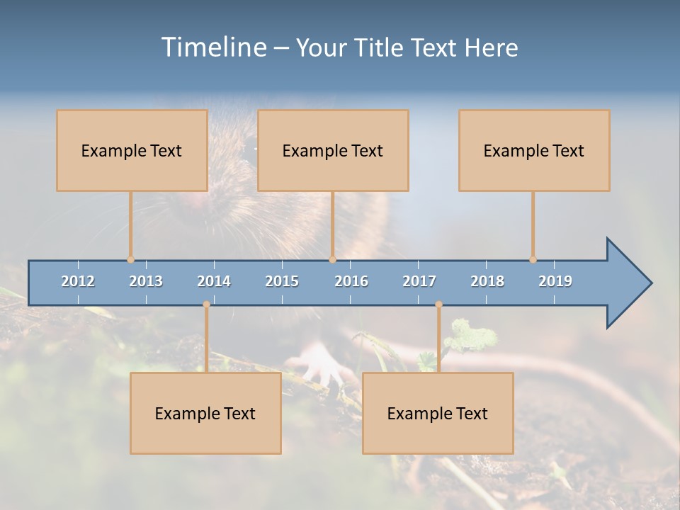 Fauna Closeup Animal PowerPoint Template