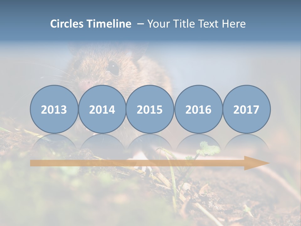 Fauna Closeup Animal PowerPoint Template