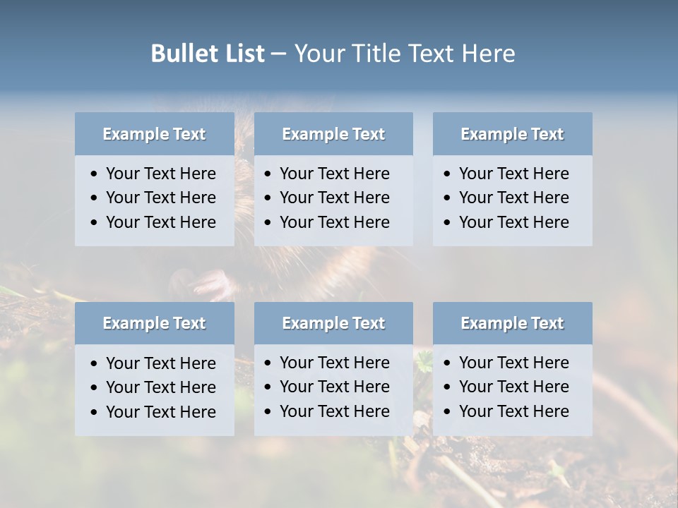 Fauna Closeup Animal PowerPoint Template