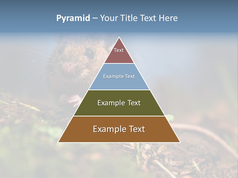 Fauna Closeup Animal PowerPoint Template