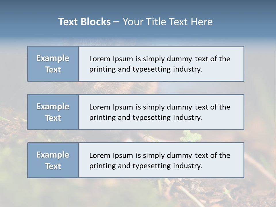 Fauna Closeup Animal PowerPoint Template