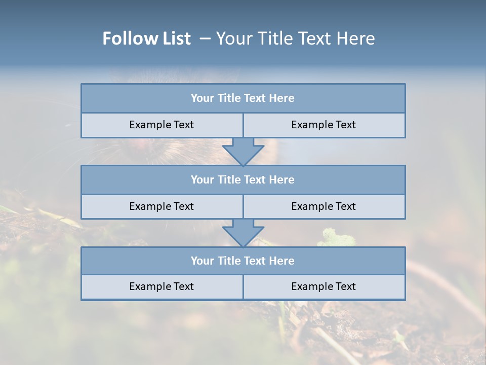 Fauna Closeup Animal PowerPoint Template