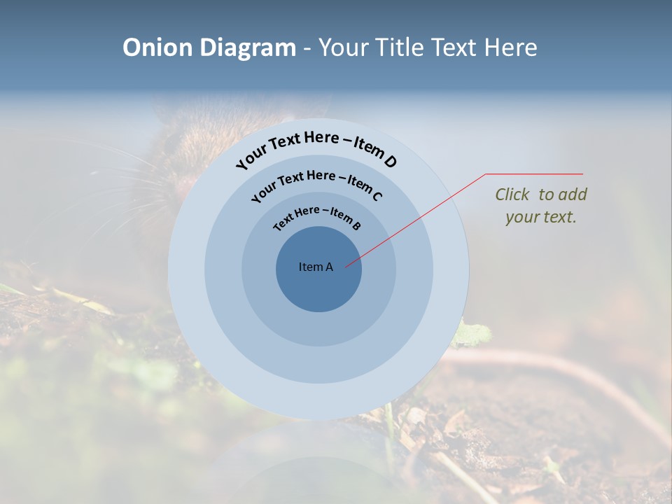 Fauna Closeup Animal PowerPoint Template