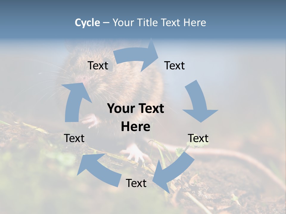 Fauna Closeup Animal PowerPoint Template