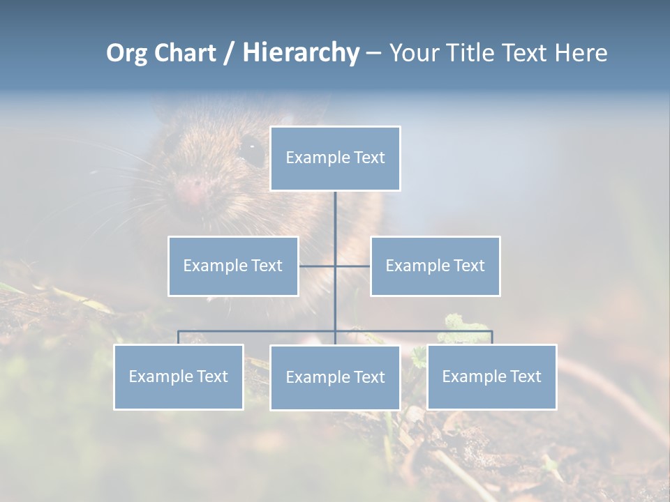 Fauna Closeup Animal PowerPoint Template