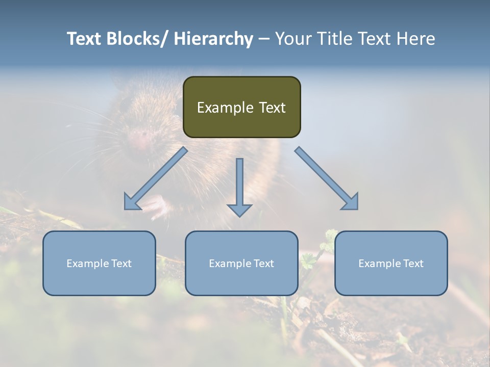 Fauna Closeup Animal PowerPoint Template