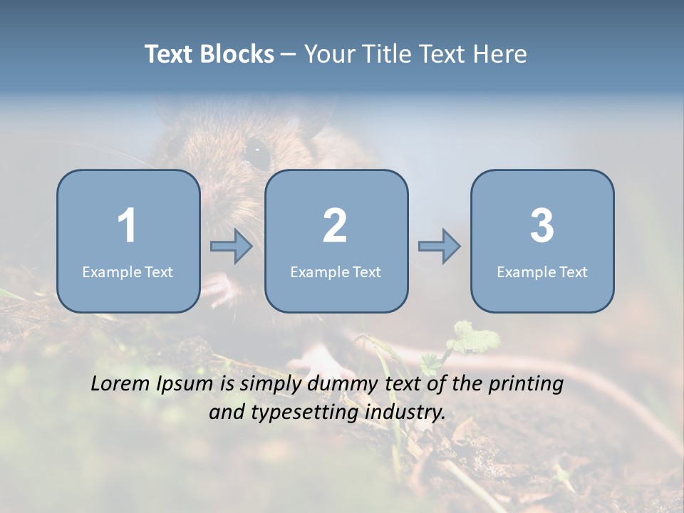 Fauna Closeup Animal PowerPoint Template