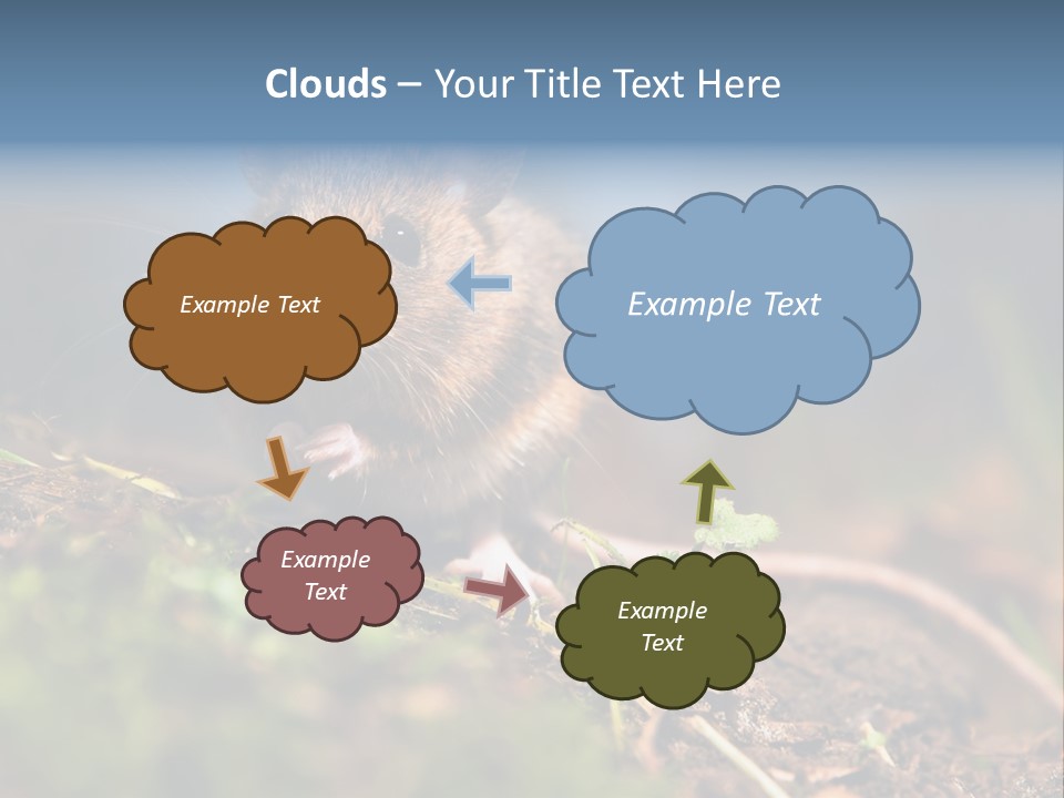 Fauna Closeup Animal PowerPoint Template