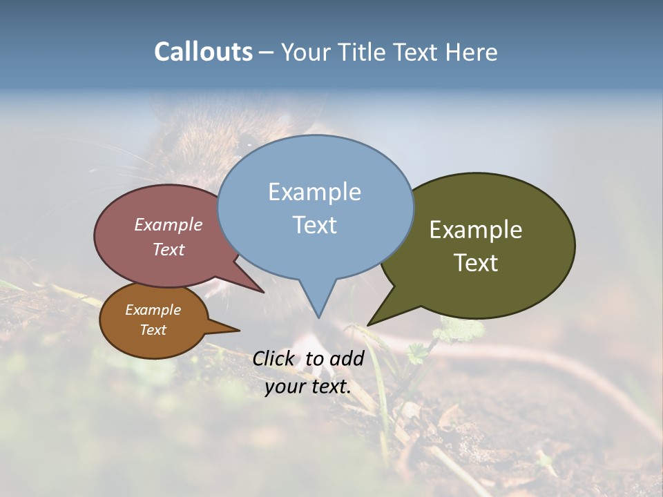 Fauna Closeup Animal PowerPoint Template