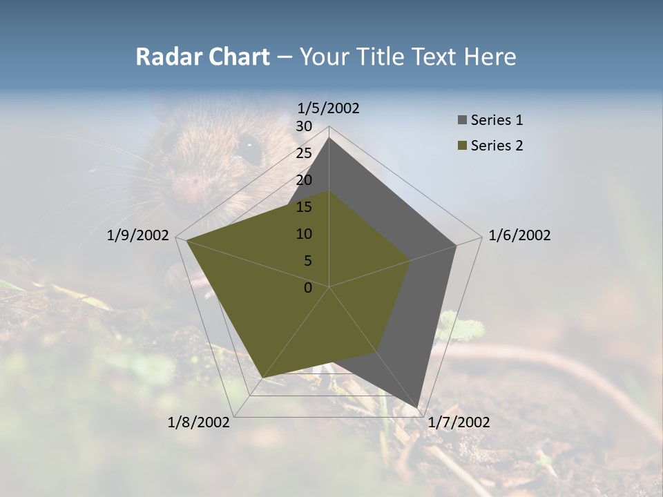 Fauna Closeup Animal PowerPoint Template