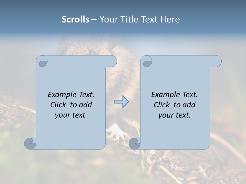 Fauna Closeup Animal PowerPoint Template